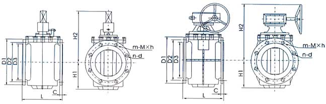 彈性座封偏心旋塞閥結構示意圖 彈性座封偏心旋塞閥結構示意圖
